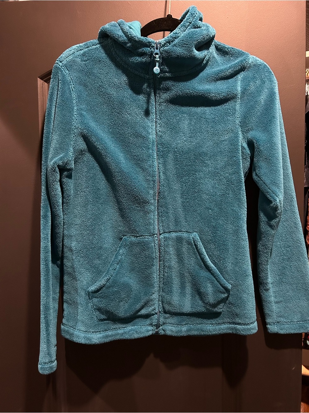 Plush Full-Zip Hoodie Jacket - Teal
